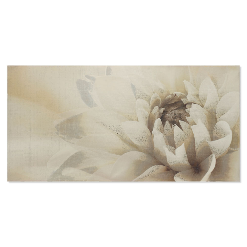 Blommigt Kakel Glasgow Ljusgrå Mönstrad Blank 25x50 cm